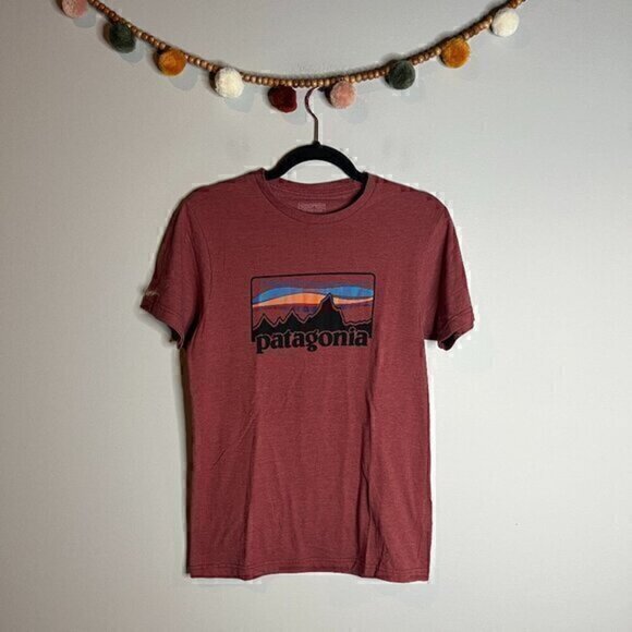 Patagonia Slim Fit graphic tee - Picture 1 of 4